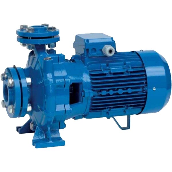 Моноблочний поверхневий насос SPERONI CS65-200A KW 22.5 400690 купити в Україні