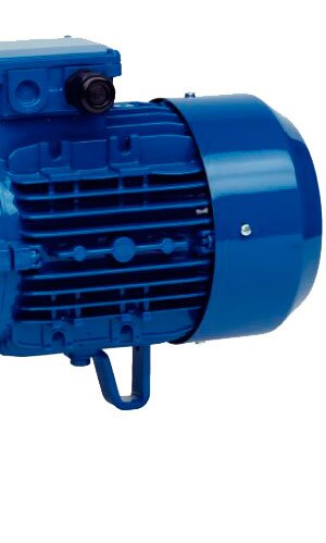 Відцентровий насос SPERONI 2C 25/160B купити в Україні